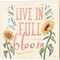 Sunflower Season Bright C by Janelle Penner 14" x 14" Canvas Wall Art (Set of 2)